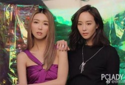 娱乐圈爆料南洋姐妹花,揭秘神秘姐妹花背后的故事