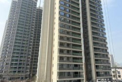 重庆招商1872最新爆料,揭秘1872项目新动态与未来规划